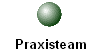 Praxisteam